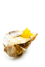 Cargar imagen en el visor de la galería, Caviaroli Aceite de Oliva Virgen Extra Arbequina - 50 g
